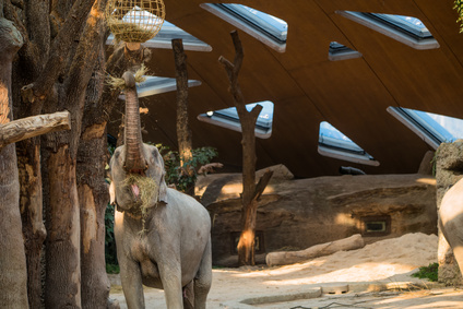 Zoo Zürich